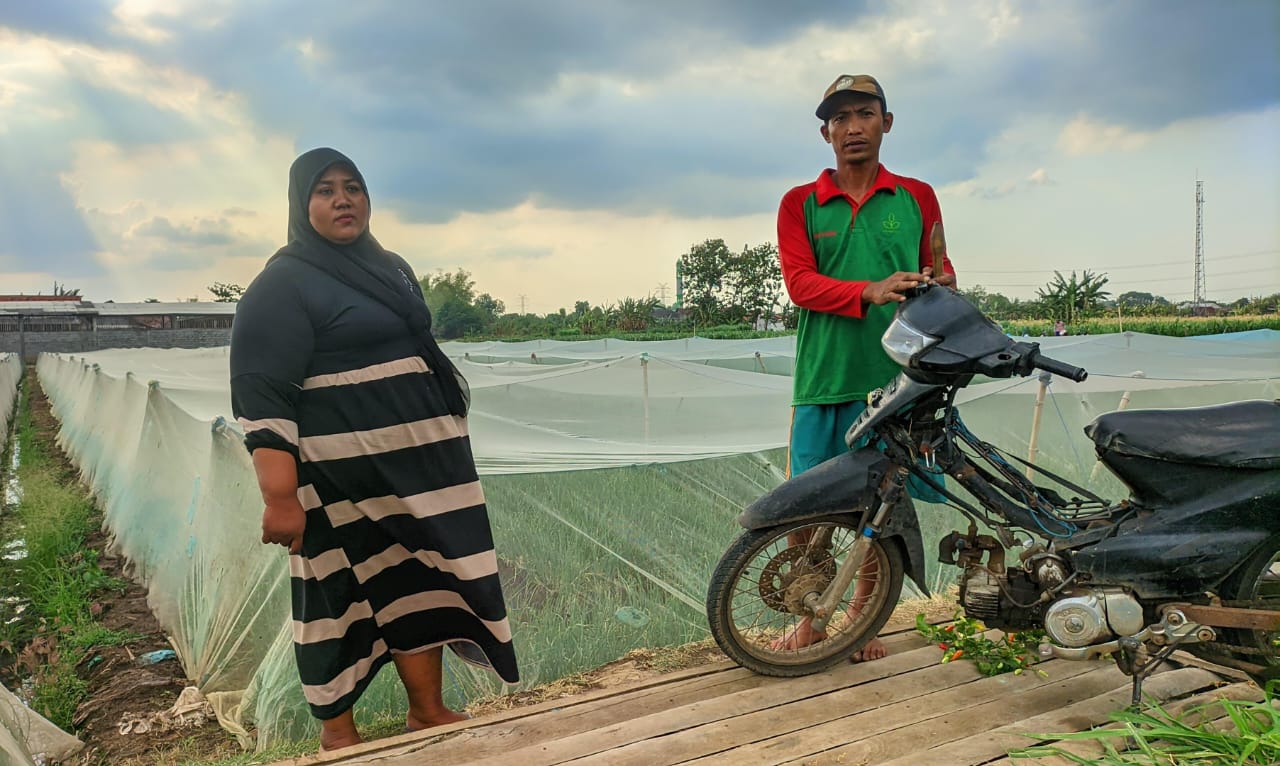 Petani Probolinggo Raih Kesuksesan Usaha Berkat BMT NU 
