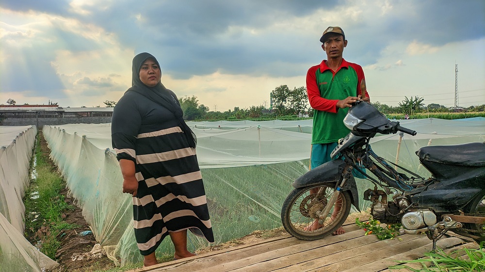 Petani Probolinggo Raih Kesuksesan Usaha Berkat BMT NU